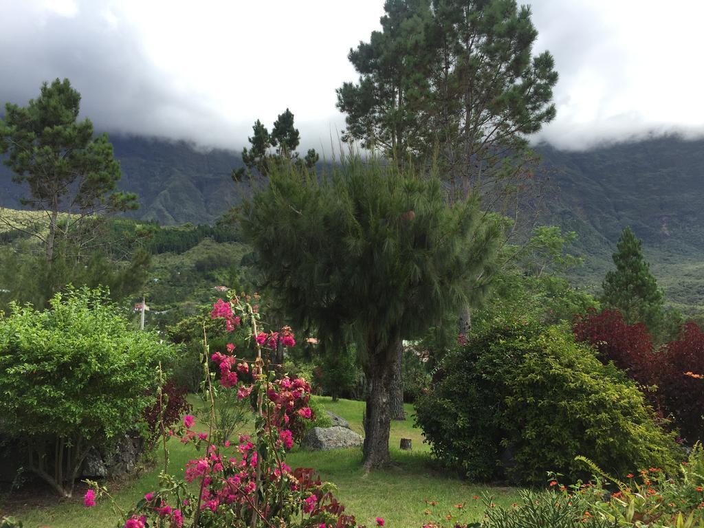 Villa Le Platane à Cilaos Extérieur photo